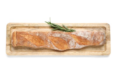 Crispy French baguette with rosemary isolated on white, top view. Fresh bread