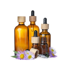 Bottles of essential oil and daisy flowers on white background