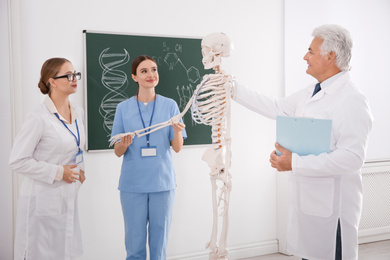 Medical students and professor studying human skeleton anatomy in classroom