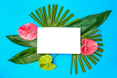Creative flat lay composition with tropical leaves and anthurium flowers on blue background