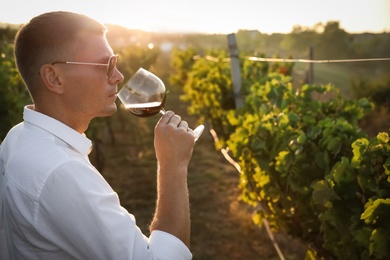 Handsome man tasting wine in vineyard on sunny day