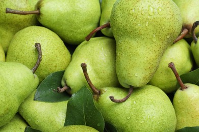 Photo of Many fresh ripe pears with water drops as background, closeup