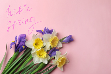 Words HELLO SPRING and fresh flowers on pink background, flat lay. Space for text