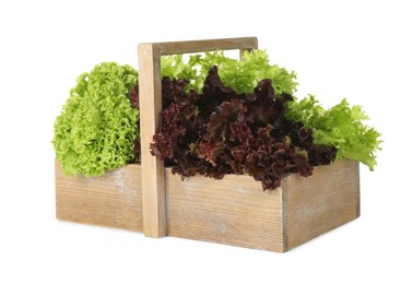Wooden crate with different sorts of lettuce on white background
