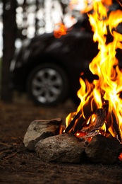 Beautiful bonfire with burning firewood near car in forest, closeup