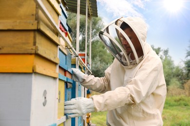 Beekeeper in uniform near hives at apiary. Harvesting honey