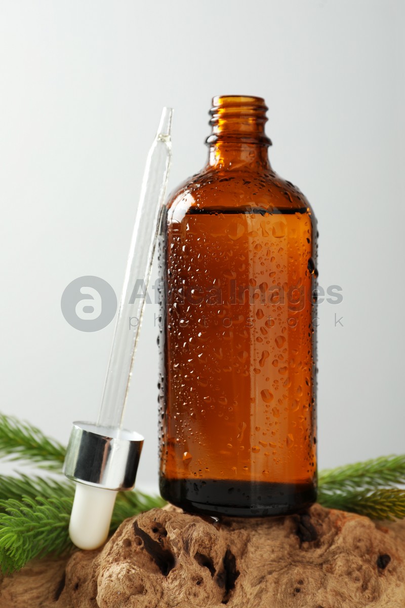 Bottle of hydrophilic oil and fir twigs on white background