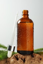 Bottle of hydrophilic oil and fir twigs on white background