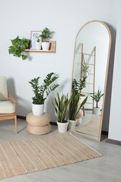 Photo of Stylish living room interior with wooden furniture, houseplants and full length mirror near white wall