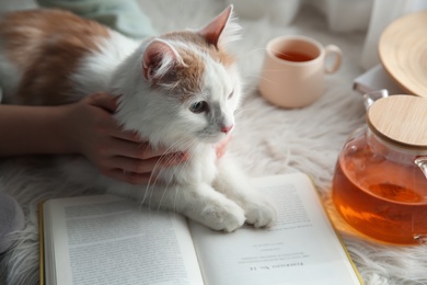 Woman with cute fluffy cat, tea and book on faux fur, closeup