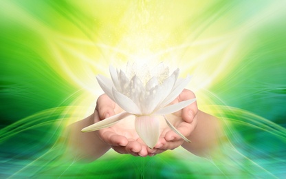 Woman holding beautiful lotus flower on bright background, closeup