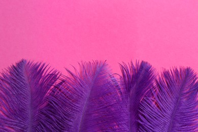 Beautiful violet feathers on pink background, flat lay. Space for text