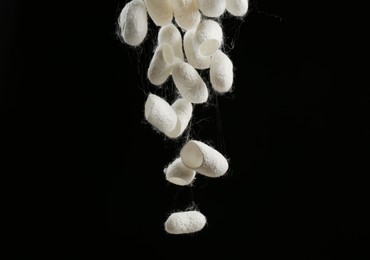 White silk cocoons falling on black background
