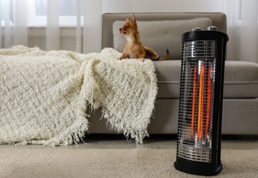 Chihuahua in living room, focus on modern electric halogen heater