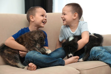 Little boys with Akita inu puppies on sofa at home. Friendly dogs