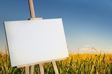 Wooden easel with blank canvas in corn field on sunny day. Space for text