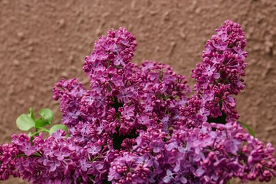 Closeup view of beautiful lilac flowers on color background
