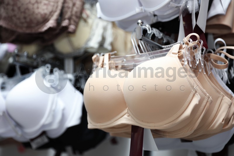 Stylish female underwear on hangers in boutique