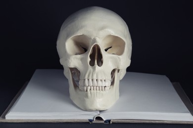 White human skull with book on black background