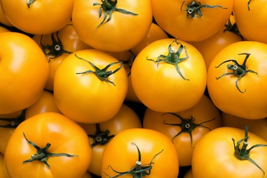 Fresh ripe yellow tomatoes as background, closeup view