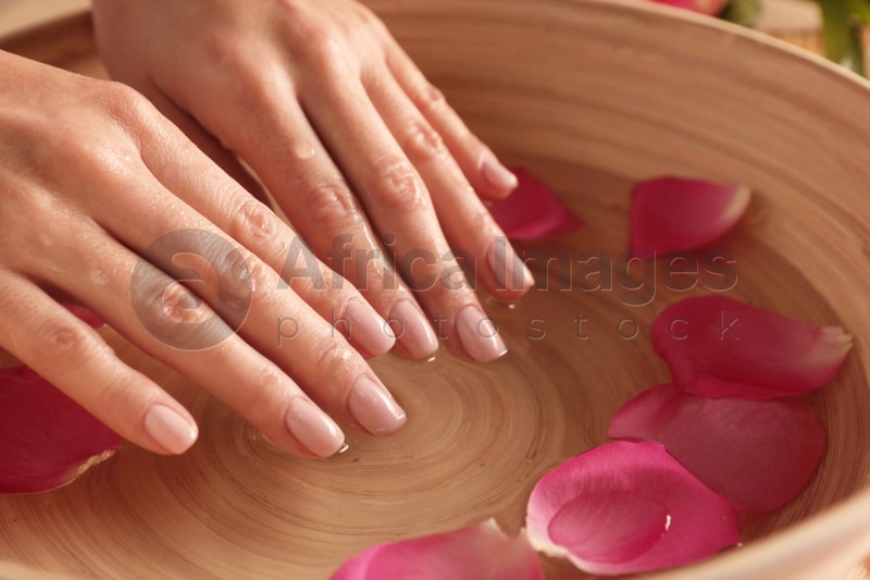Woman soaking her hands in bowl of water and petals, closeup with space for text. Spa treatment
