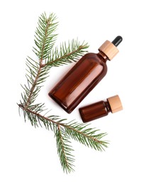 Photo of Bottles of pine essential oil on white background, top view