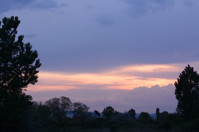 Picturesque view on cloudy sky over trees at sunset