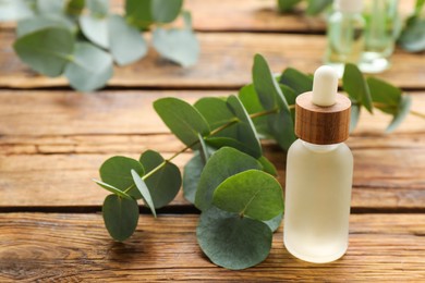 Bottle of eucalyptus essential oil and plant branches on wooden table, space for text