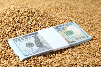Wheat grains with dollar banknotes, closeup. Global food crisis concept