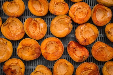 Many halved apricots on metal drying rack, flat lay