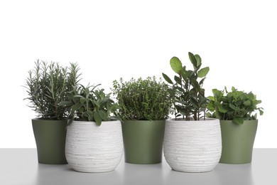 Pots with thyme, bay, sage, mint and rosemary on white background