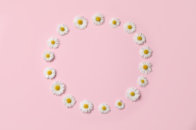 Frame of daisy flowers on pink background, flat lay. Space for text
