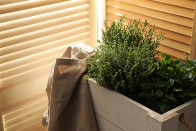 Wooden crate with different potted herbs indoors