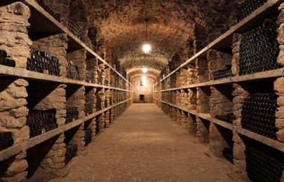 Wine cellar interior with many bottles on shelves