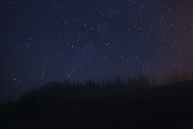Picturesque view of forest and beautiful starry sky at night