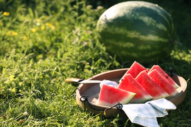Tasty ripe watermelons on green grass. Space for text