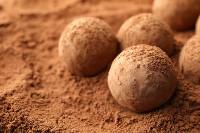 Tasty chocolate truffles on cocoa powder, closeup. Space for text