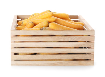 Raw yellow carrots in wooden crate isolated on white