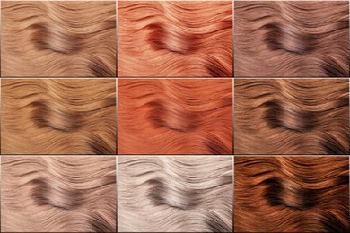 Hair colors palette, top view. Various swatches