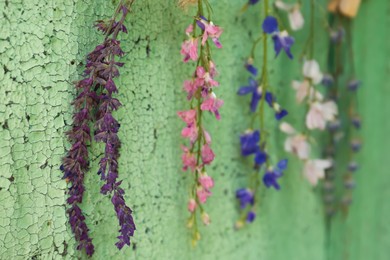 Photo of Beautiful flowers drying while hanging near cracked wall, closeup