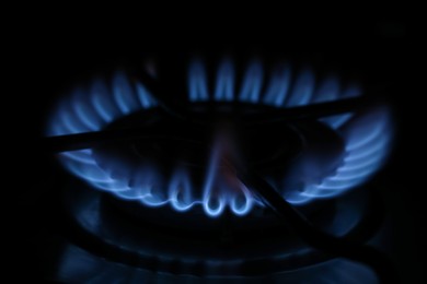 Gas burner with blue flame in darkness, closeup