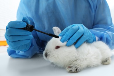 Scientist with rabbit and mascara brush in chemical laboratory, closeup. Animal testing