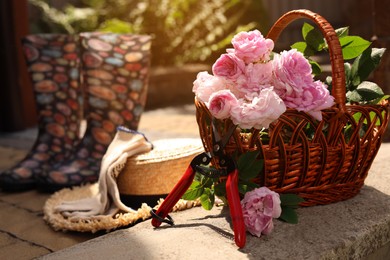 Photo of Basket of beautiful tea roses, straw hat and gardening tools outdoors