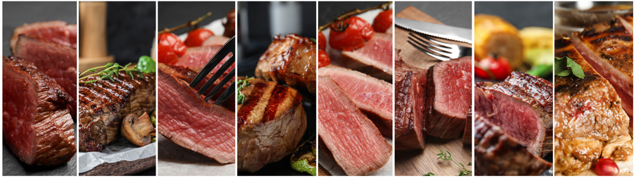 Collage with different photos of delicious grilled meat. Banner design  