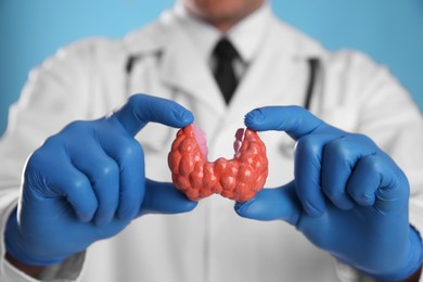 Doctor holding plastic model of thyroid on light blue background, closeup