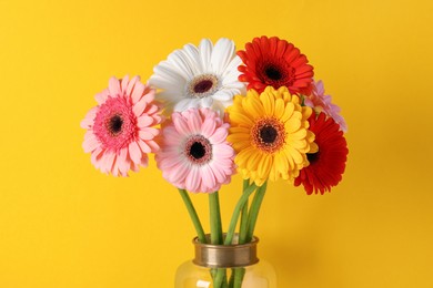 Bouquet of beautiful colorful gerbera flowers in vase on yellow background