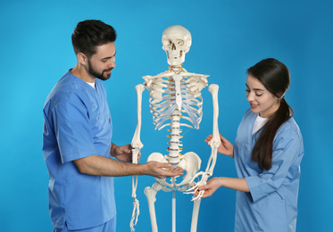 Young orthopedists with human skeleton model on blue background