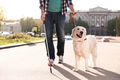 Guide dog helping blind person with long cane walking outdoors