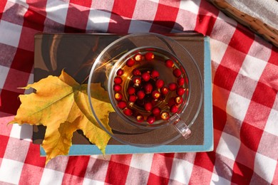 Cup of tea with hawthorn berries and books on plaid, top view. Autumn atmosphere