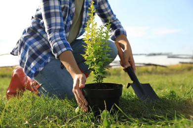 Photo of Woman planting tree in countryside on sunny day, closeup